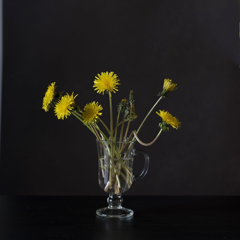 Фотография автора Марина Савчиц