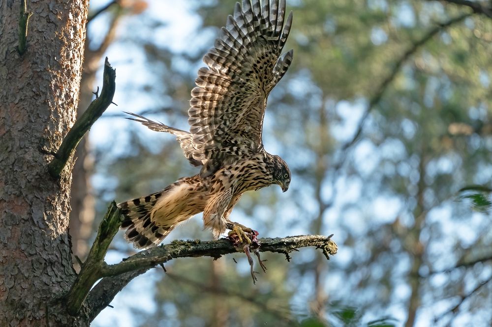 Photograph by Viktor Makarov