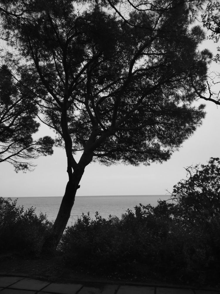 Одна на берегу моря