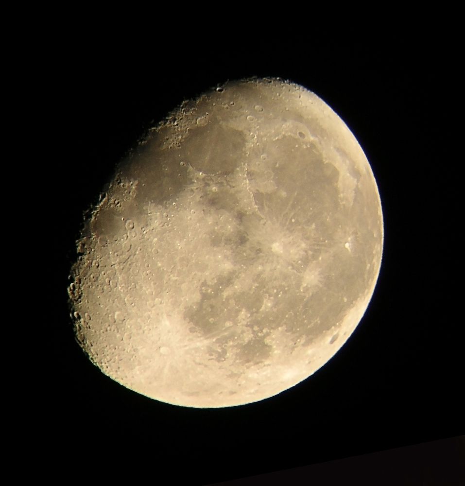 Photo #7745630