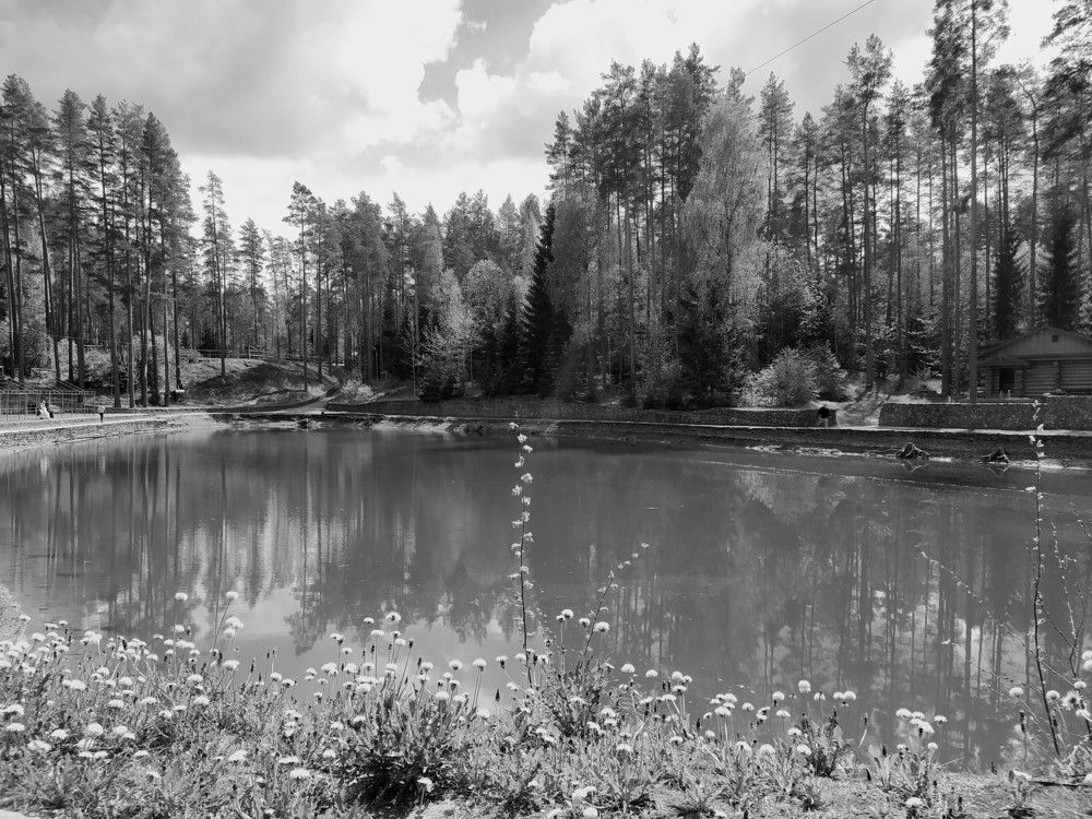 Photograph by Галина Поликанина