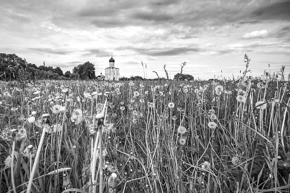 Photograph by Людмила ЧЕРНИКОВА