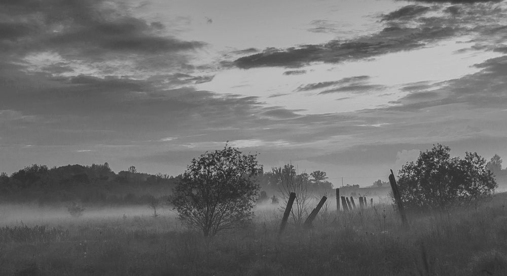 Photograph by Михаил Фенелонов