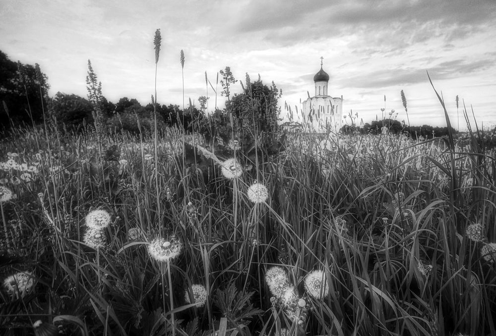 Photograph by Людмила ЧЕРНИКОВА