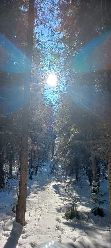 Photograph by Павел Винокуров