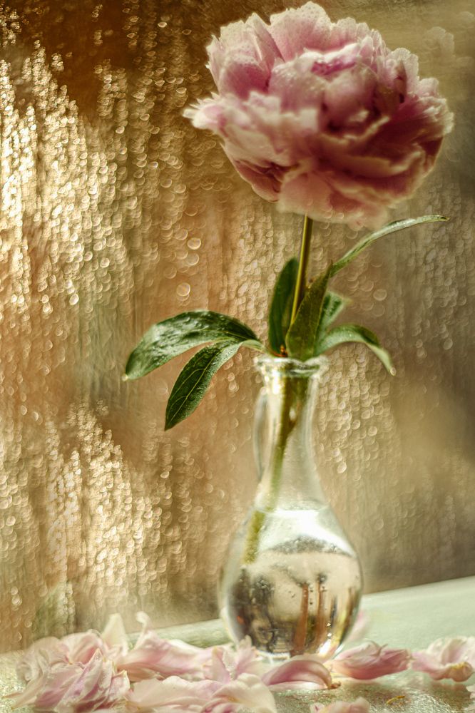 Фотография автора Алена Маруева