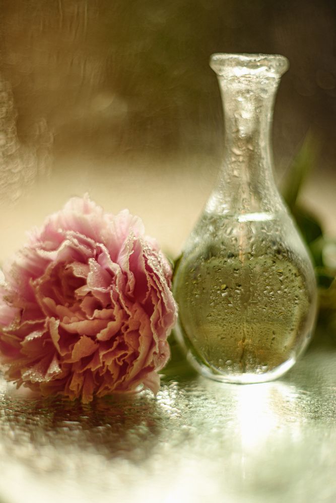 Фотография автора Алена Маруева