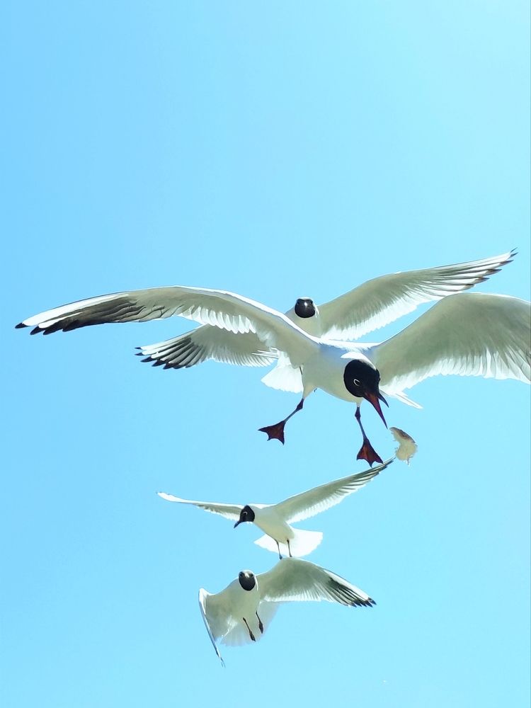 Photograph by Марина Хохрякова