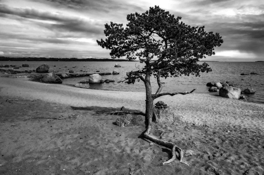 Photograph by Maria Kremneva