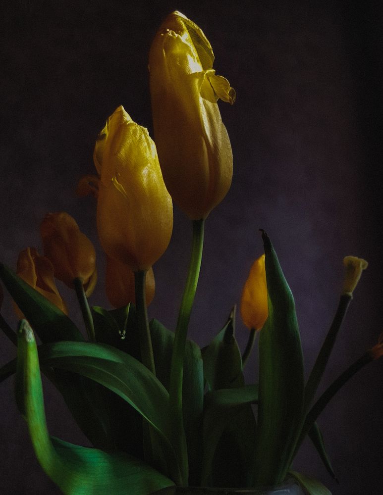 Photograph by Александра Кропивка