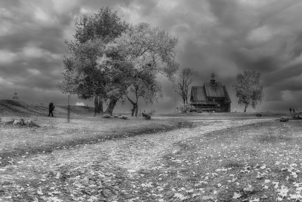 Photograph by Людмила ЧЕРНИКОВА