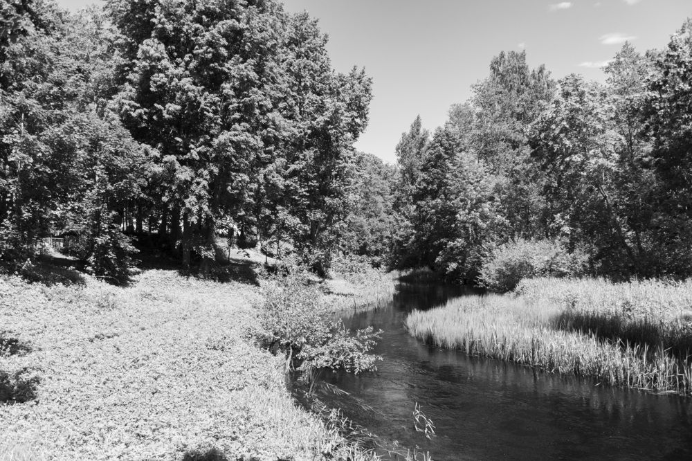 Photograph by Лилия Кондратьева