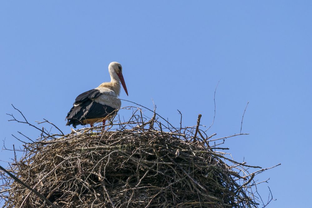 Photograph by Лилия Кондратьева