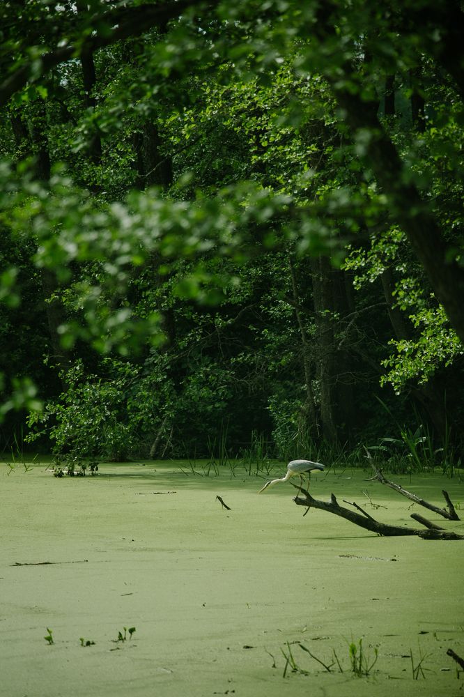 Photograph by Леонид Торговцев