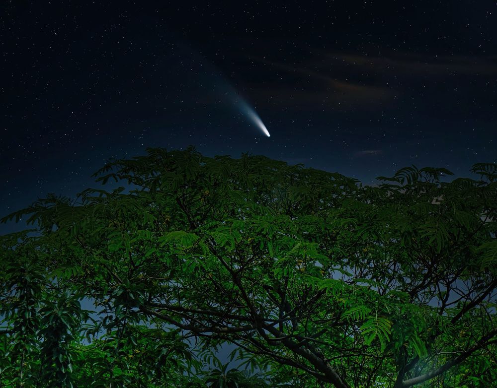 Photograph by Sandor Zoltan Gal