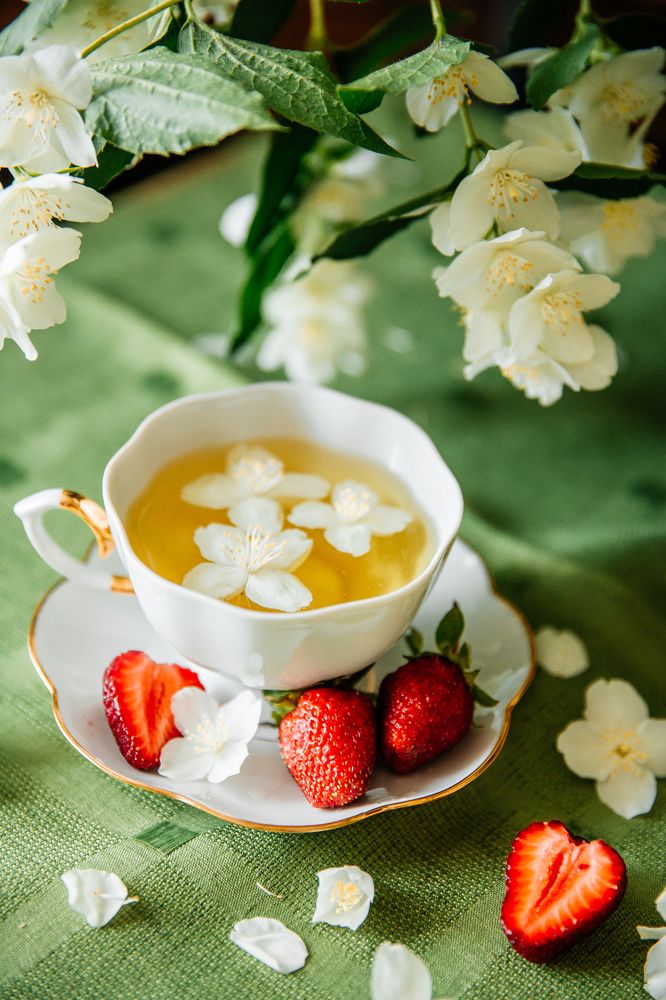 Photograph by Мария Торговцева