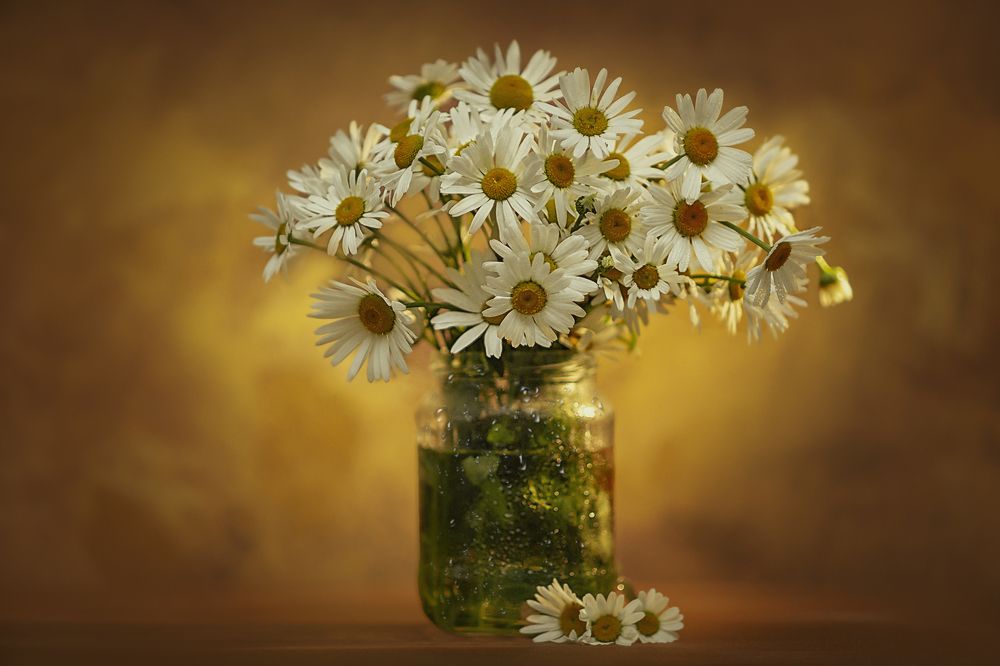 Photograph by Лысенкова Ксения