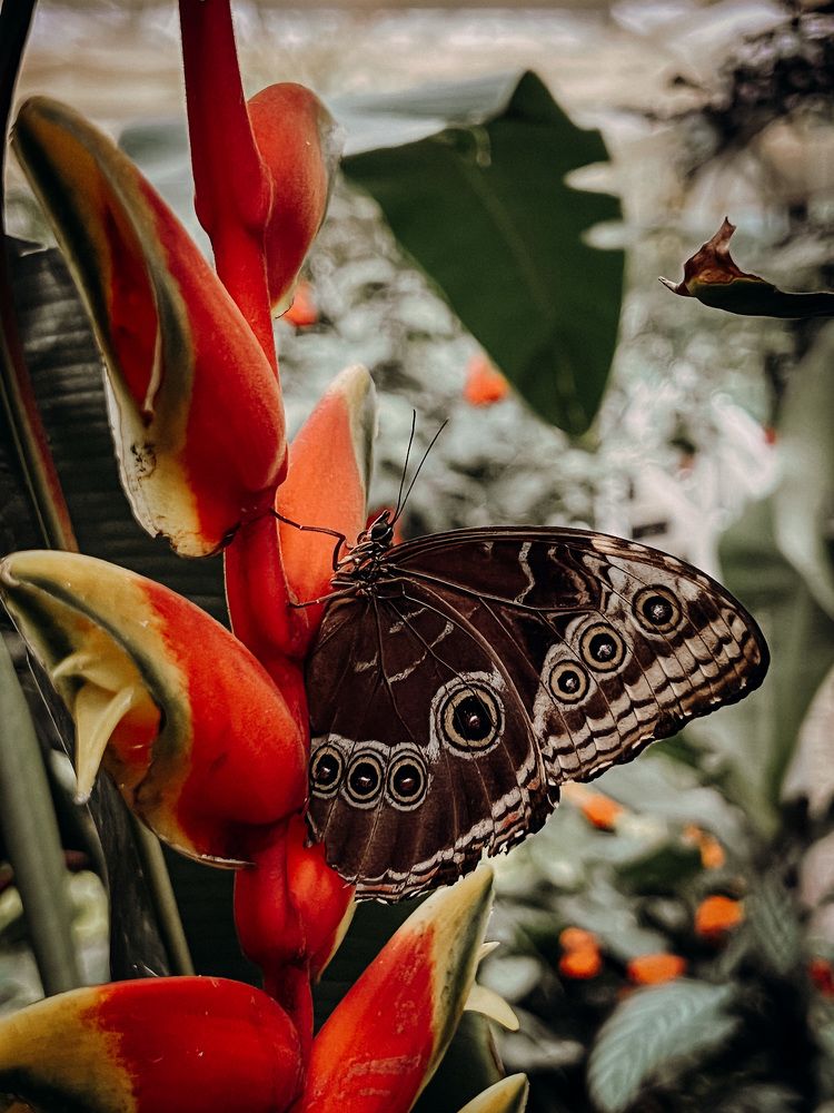 Photograph by Nadeshda Weber