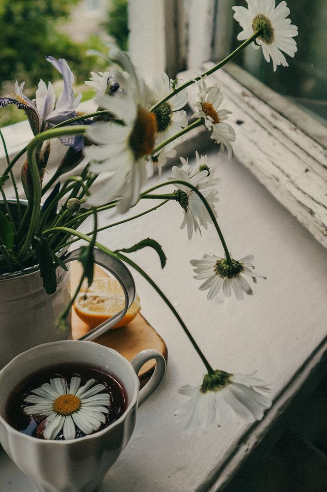 Фотография автора Александра Островская