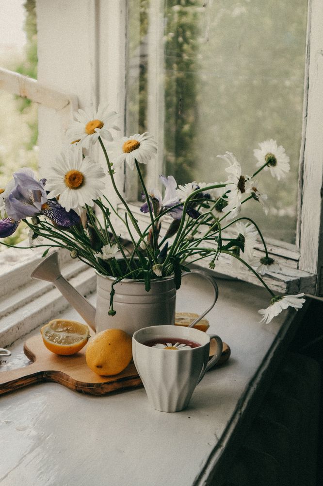 Фотография автора Александра Островская