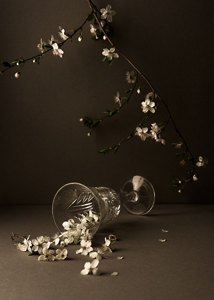 Photograph by Manuele Silvio