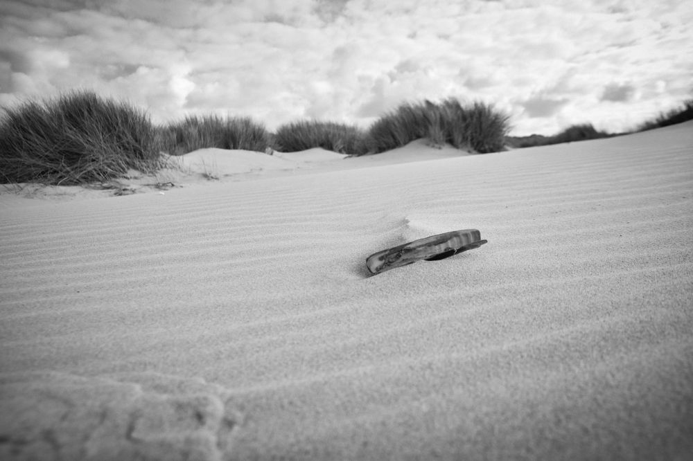 Photograph by Ivo Damen