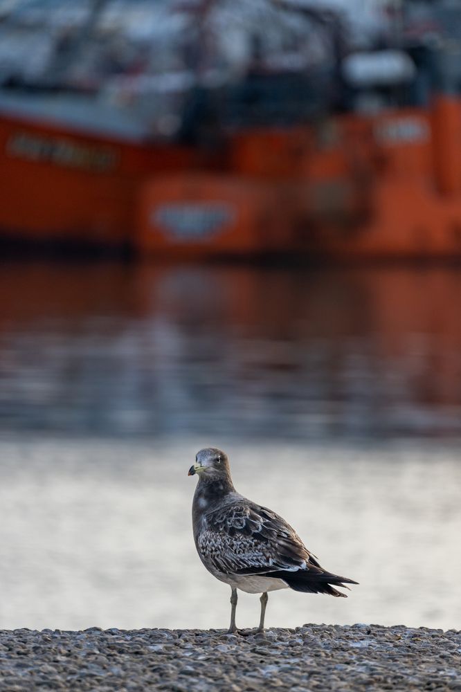 Photograph by antonio Solimeno