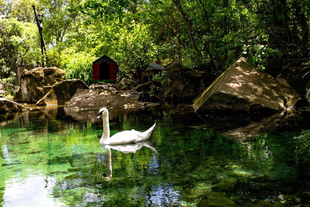 Photograph by Александр Вдовенко