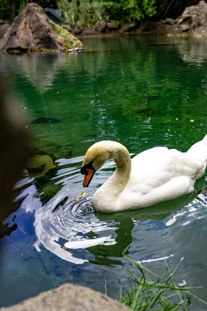 Photograph by Александр Вдовенко