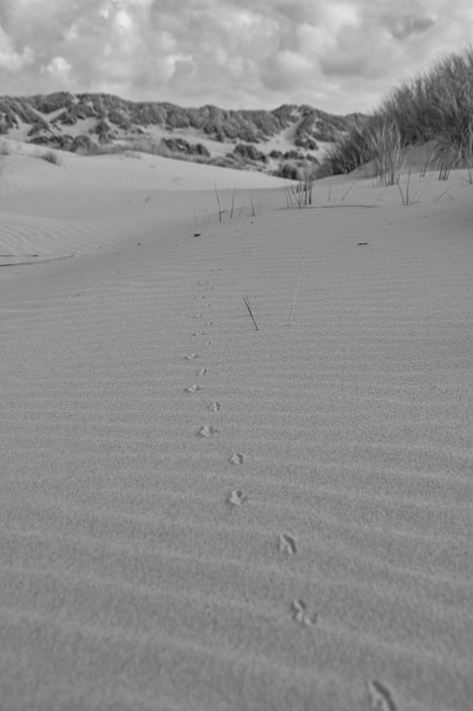 Leave nothing but footprints