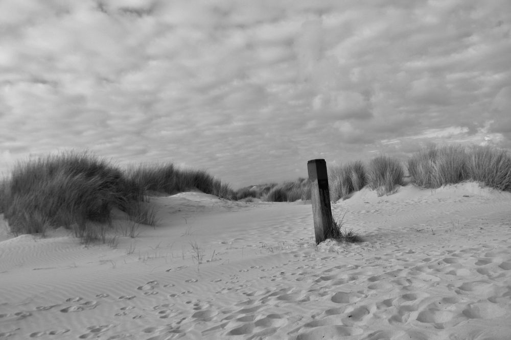 Photograph by Ivo Damen