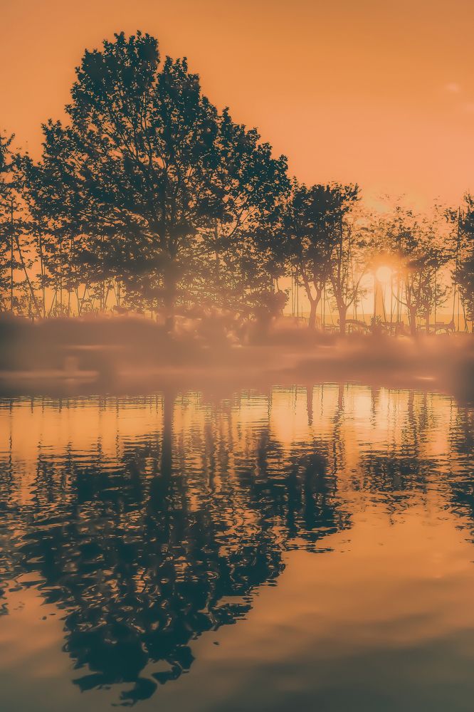 Фотография автора Nomin Jerabek