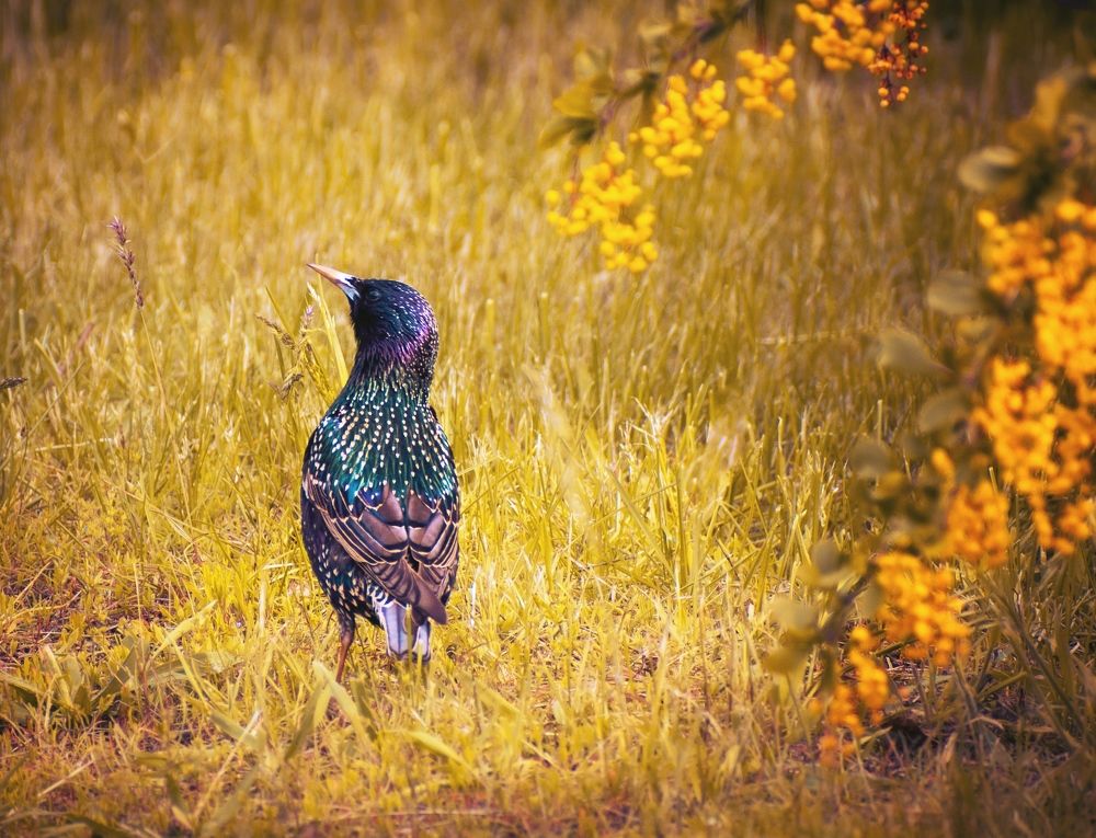Photograph by Виктория Селютина