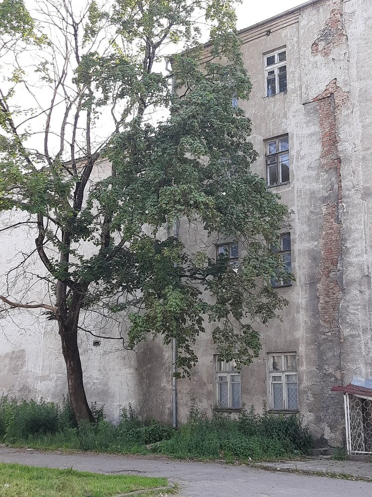 Photograph by Наталья Ткаченко
