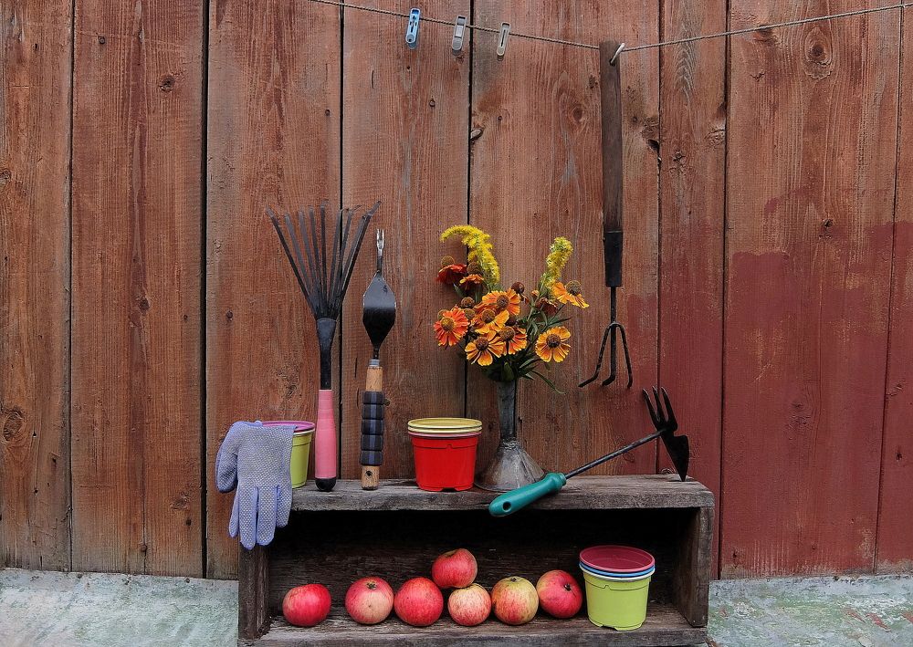 Photograph by Любовь Реутова