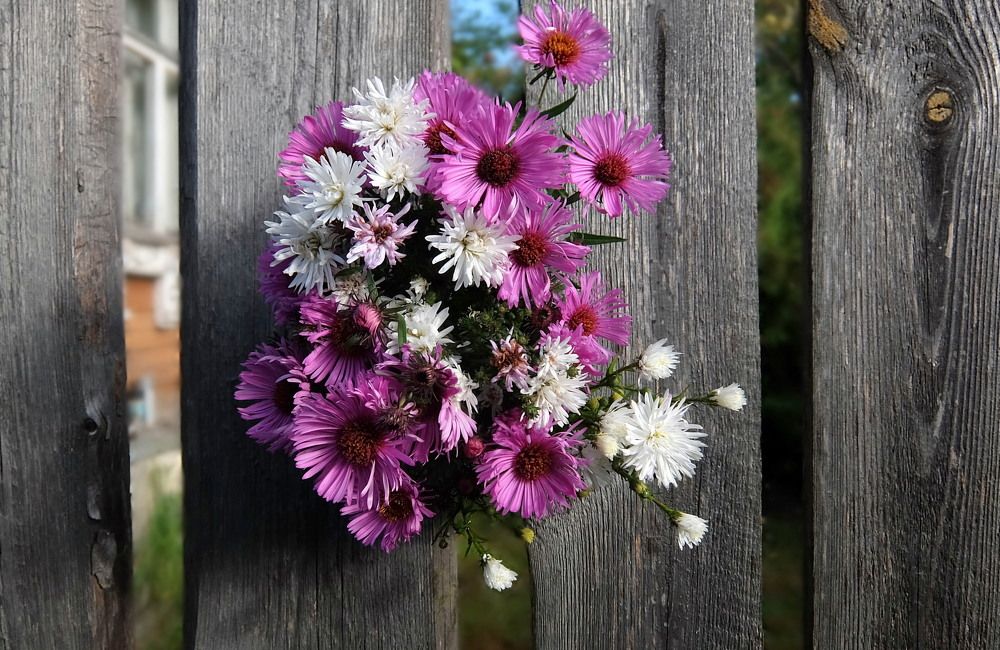 Август-финал благодатного лета.