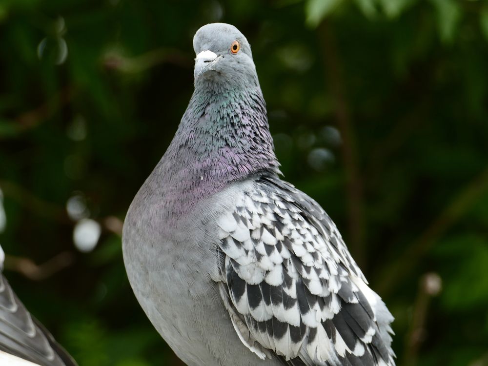 Photograph by Александр Кизим