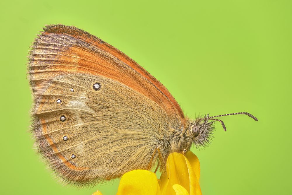 Photograph by Максим Вышарь