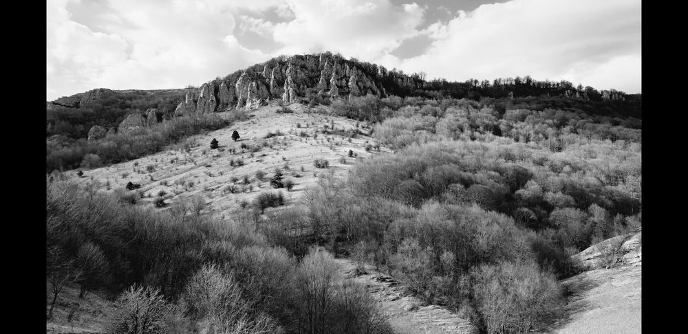 Photograph by Lina D