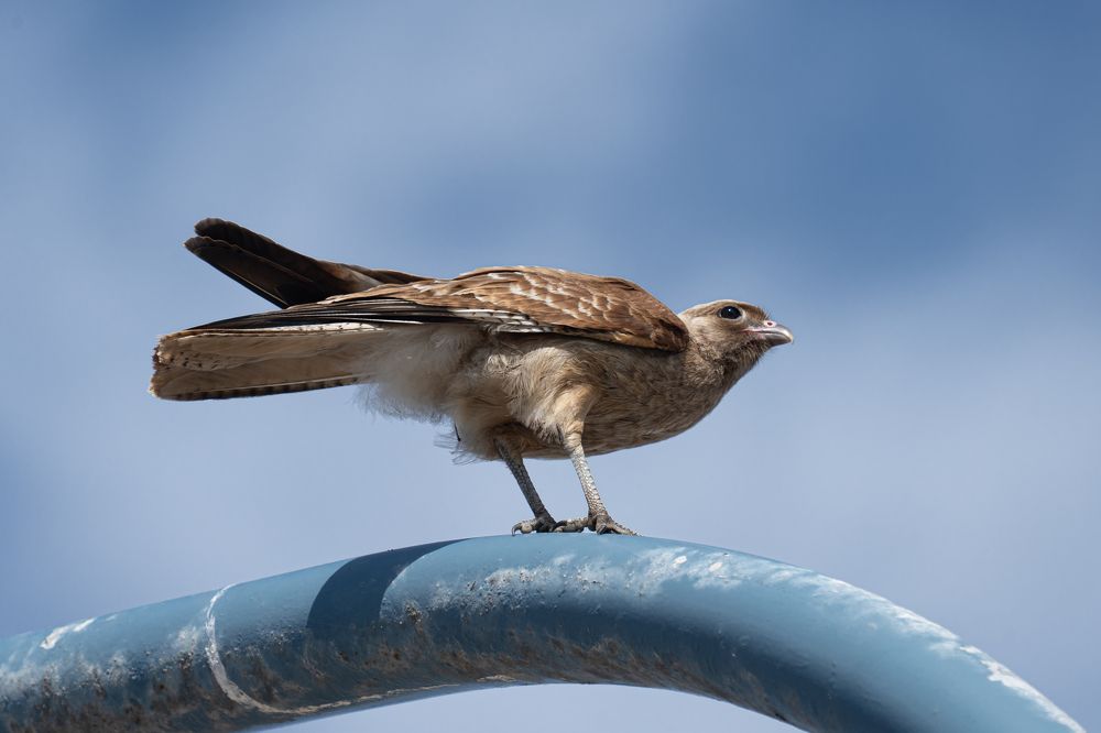 Photograph by antonio Solimeno