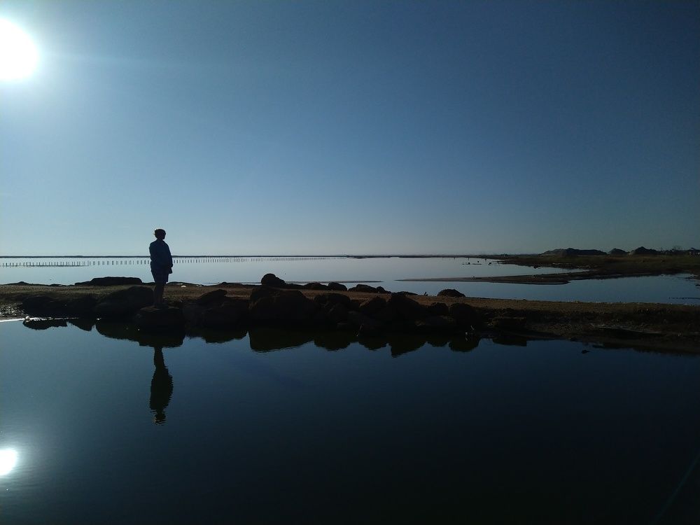 Photo #7746279