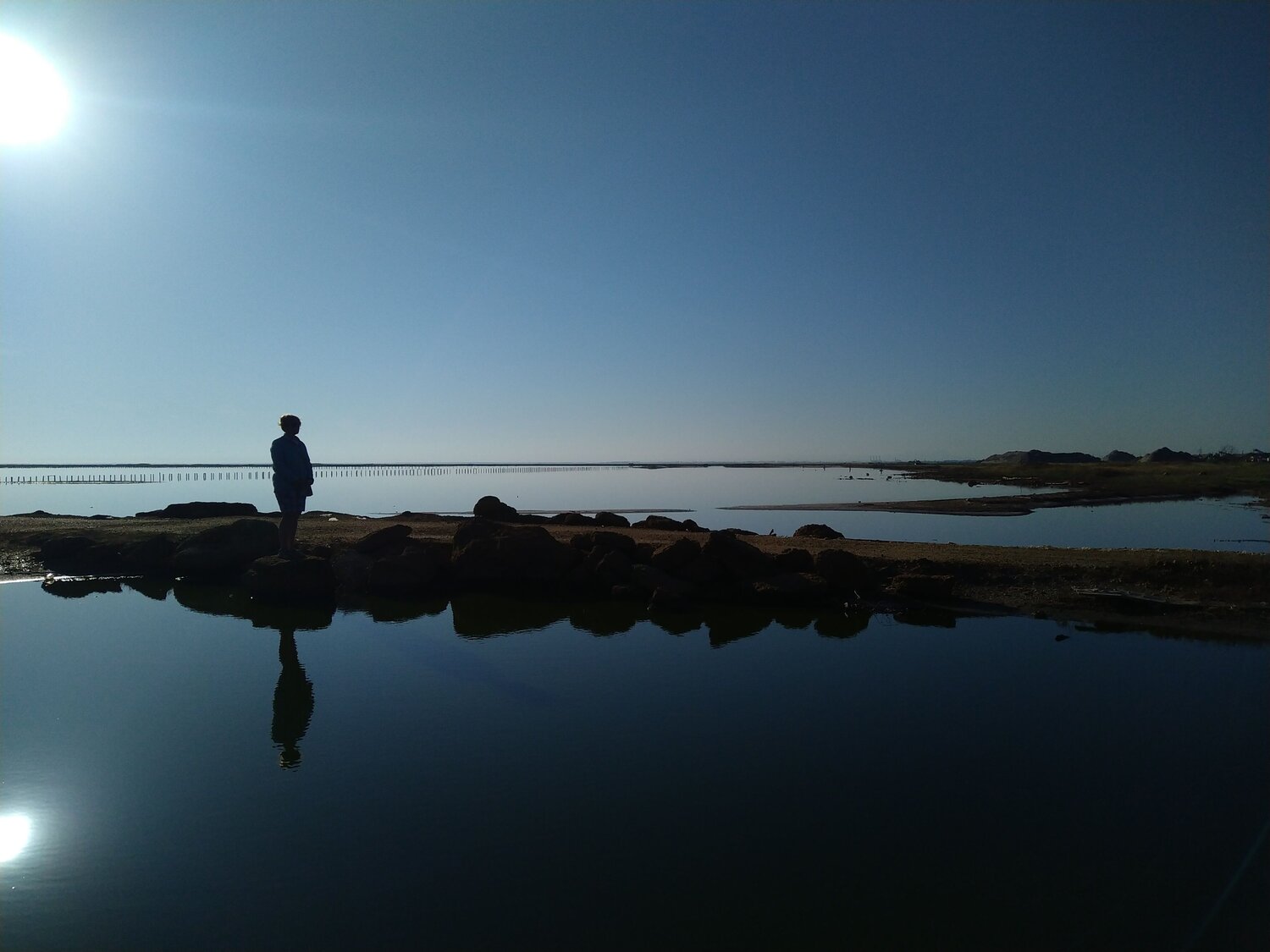 Photo #7746279