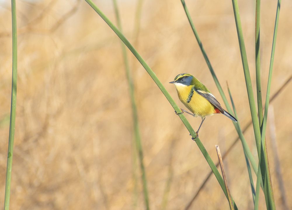 Photograph by Pablo Agustin Pereyra