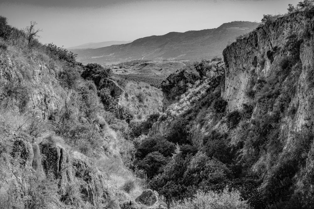 Photograph by Gotcha Biniashvili