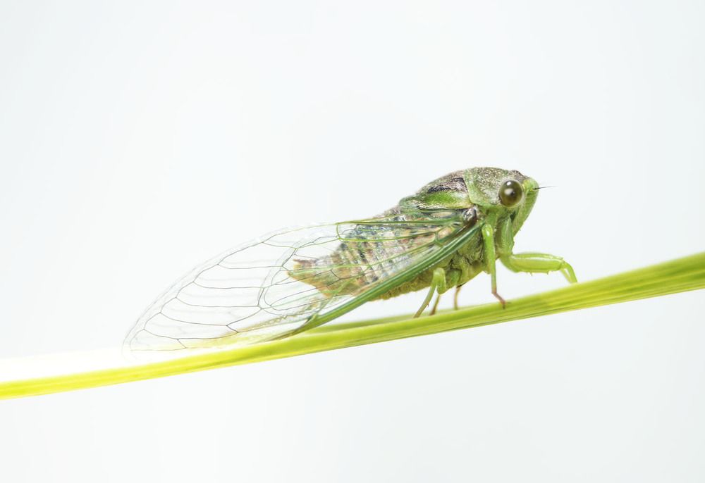 Photograph by Pablo Agustin Pereyra