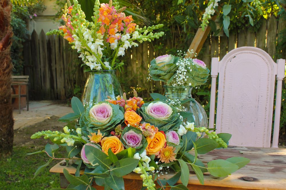 Photograph by Ferreira Francisco