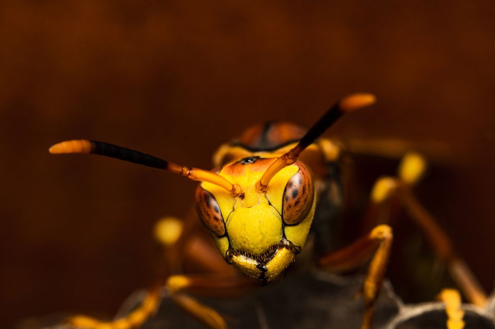 Фотография автора Jorge Luis Gil Rodríguez