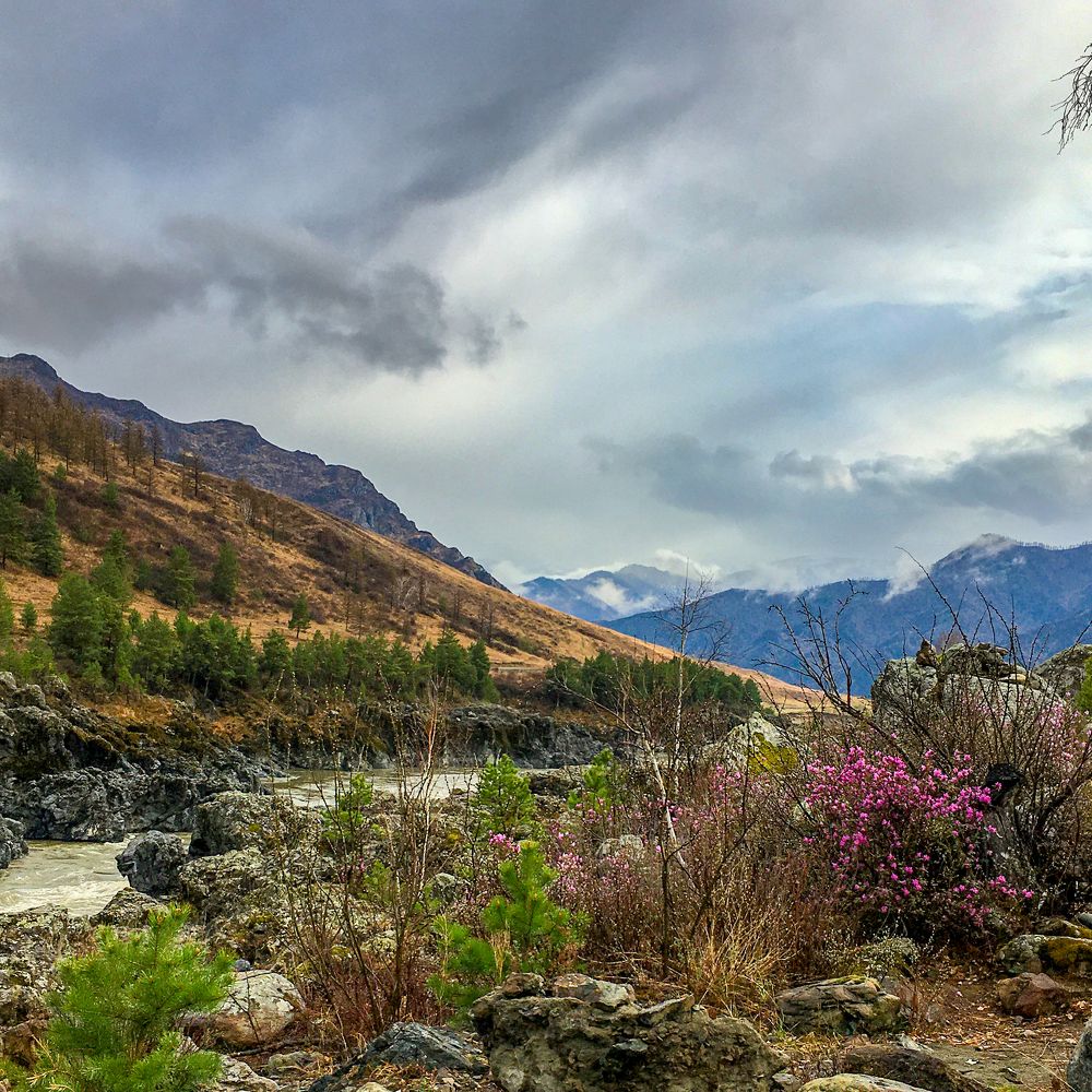 Photograph by Елена Шамраева