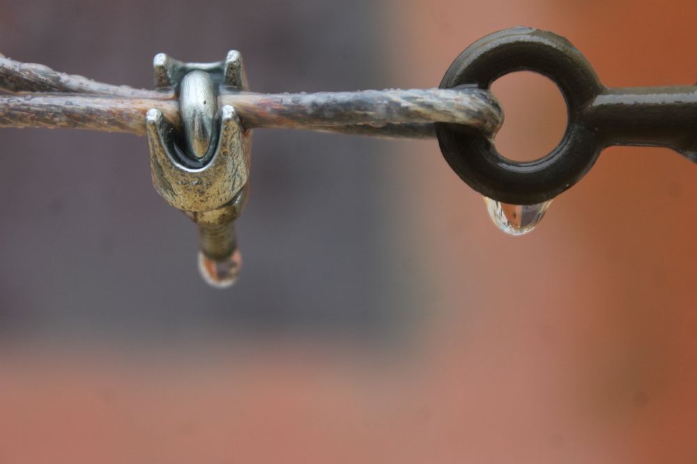 Photograph by Ferreira Francisco