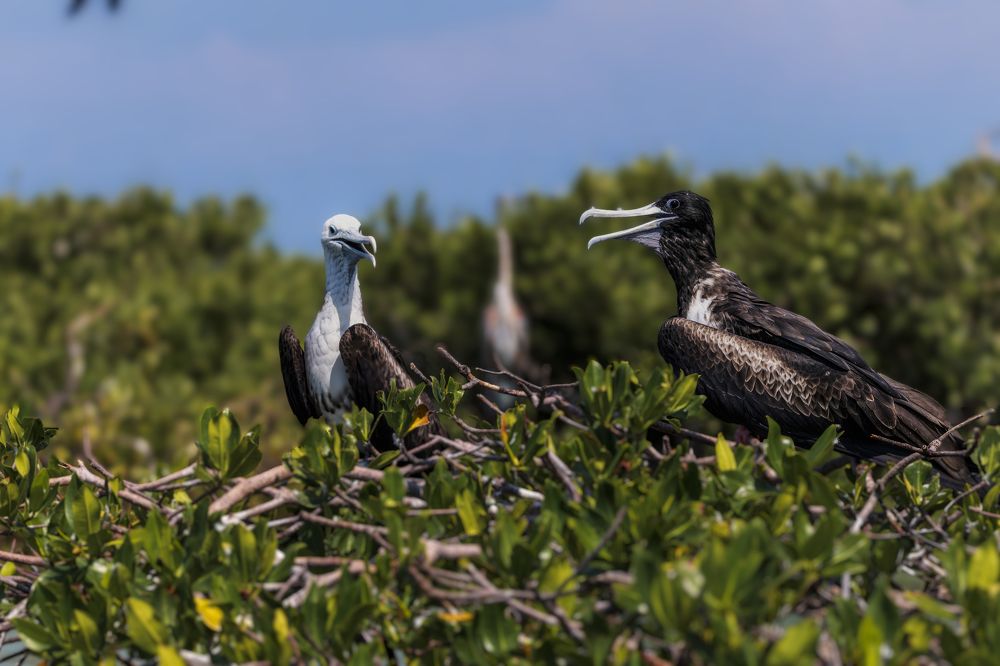 Photograph by Joaquin Silva